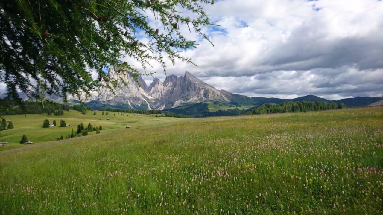 Villa Rier Siusi Bagian luar foto